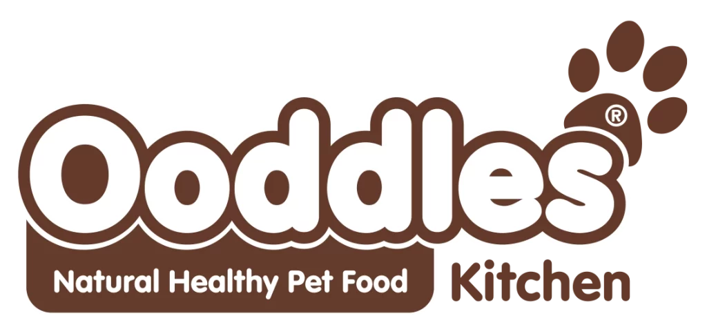 Ooddles brand logo brainstorm creative design agency leeds